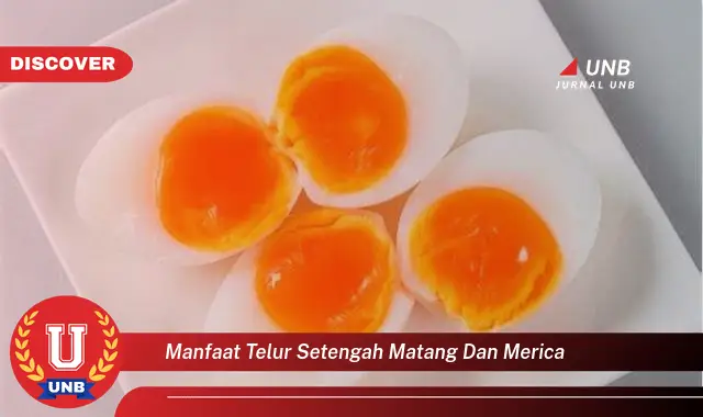 manfaat telur setengah matang dan merica manfaat telur setengah matang dan merica