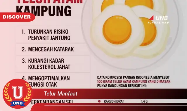 telur manfaat telur manfaat