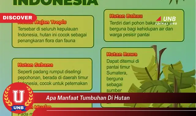 apa manfaat tumbuhan di hutan