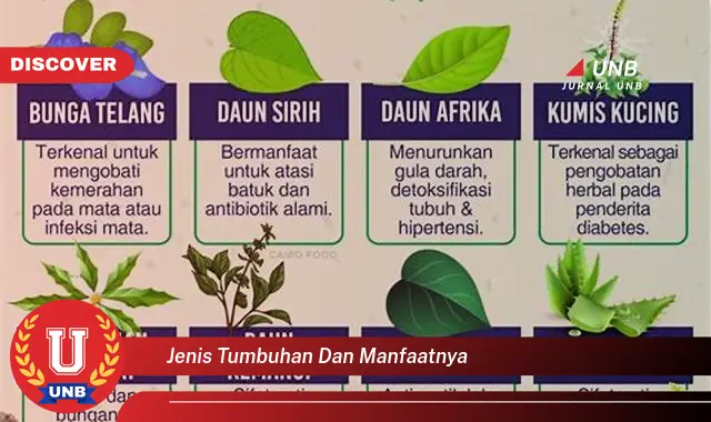 jenis tumbuhan dan manfaatnya