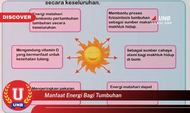 manfaat energi bagi tumbuhan