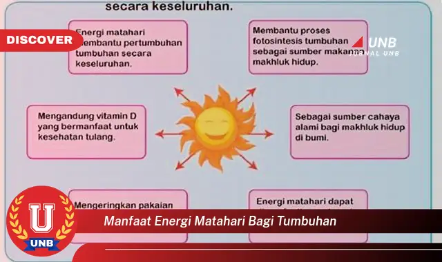 manfaat energi matahari bagi tumbuhan