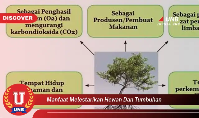 Ketahui Manfaat Melestarikan Tumbuhan Dan Hewan Yang Jarang Diketahui