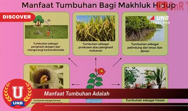 manfaat tumbuhan adalah