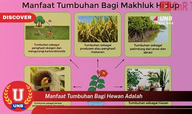 manfaat tumbuhan bagi hewan adalah