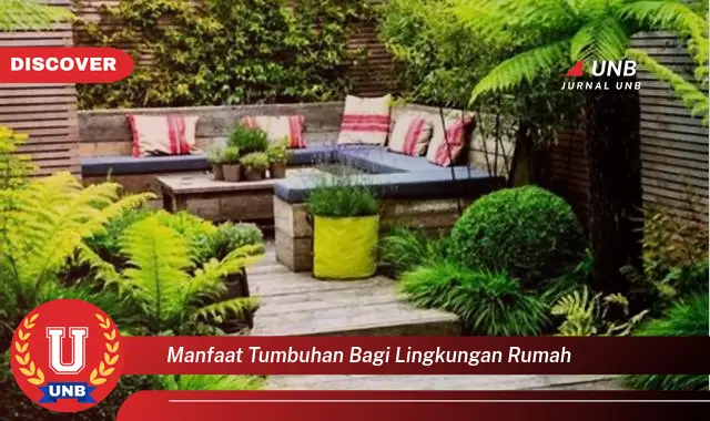 manfaat tumbuhan bagi lingkungan rumah