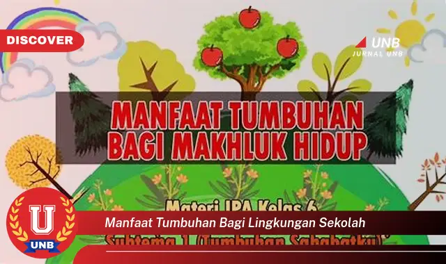 manfaat tumbuhan bagi lingkungan sekolah manfaat tumbuhan bagi lingkungan sekolah