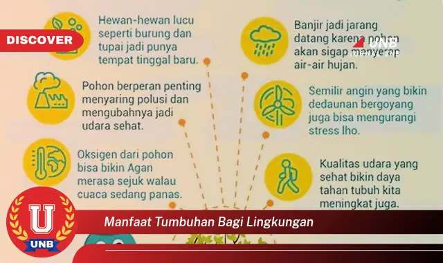 manfaat tumbuhan bagi lingkungan