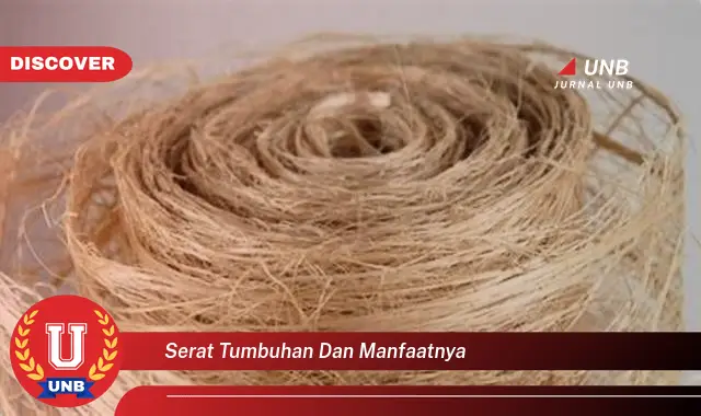 serat tumbuhan dan manfaatnya