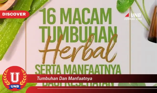 tumbuhan dan manfaatnya