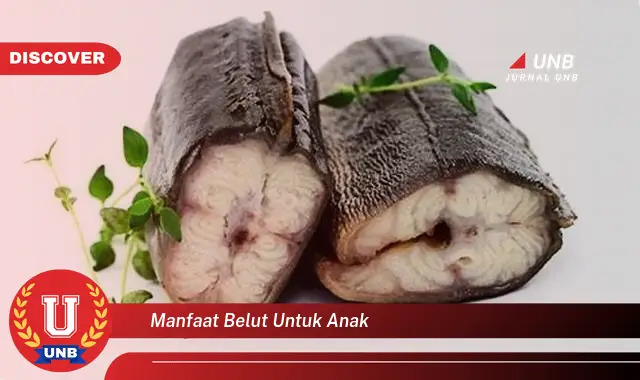 manfaat belut untuk anak manfaat belut untuk anak
