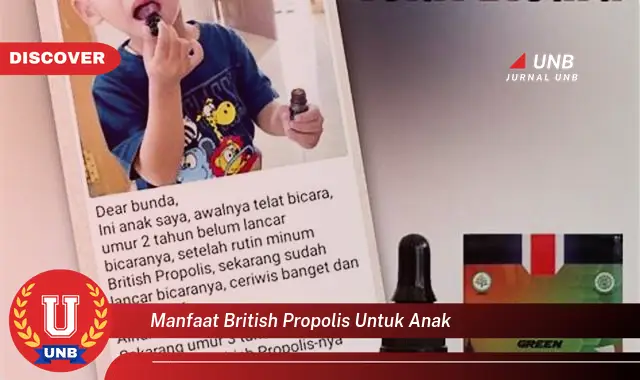 manfaat british propolis untuk anak manfaat british propolis untuk anak
