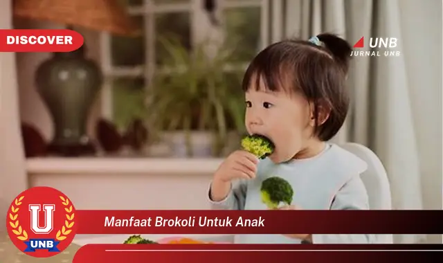 manfaat brokoli untuk anak