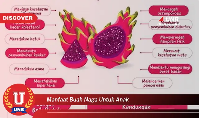manfaat buah naga untuk anak