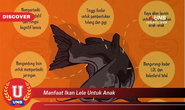 manfaat ikan lele untuk anak