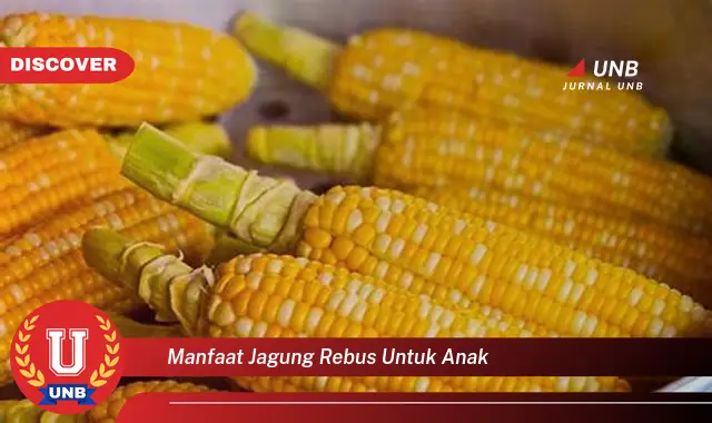 manfaat jagung rebus untuk anak