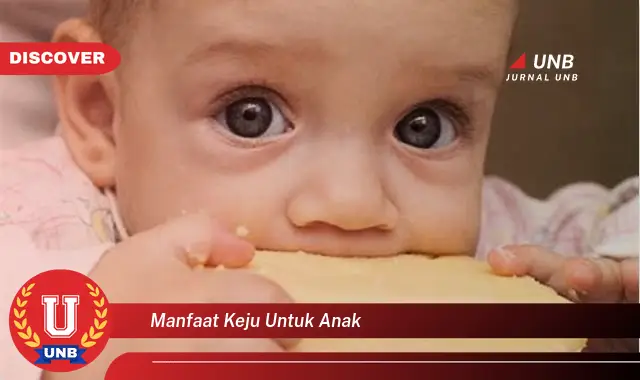 manfaat keju untuk anak