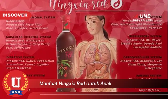 manfaat ningxia red untuk anak