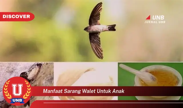 manfaat sarang walet untuk anak