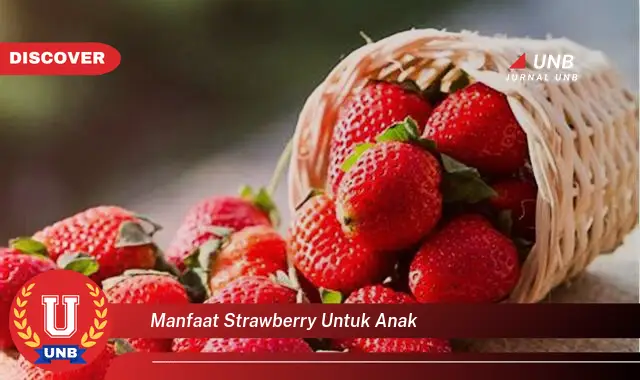 manfaat strawberry untuk anak manfaat strawberry untuk anak