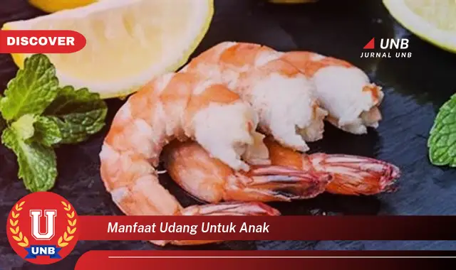 manfaat udang untuk anak