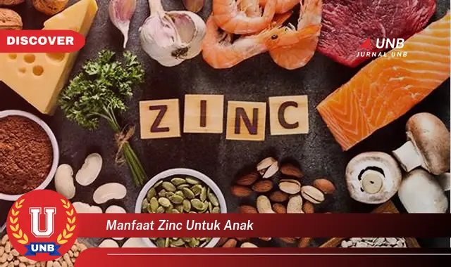 manfaat zinc untuk anak manfaat zinc untuk anak