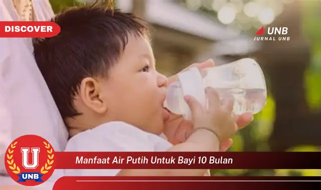 manfaat air putih untuk bayi 10 bulan