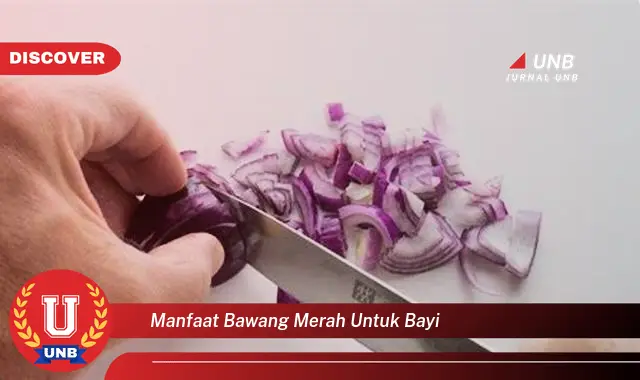 manfaat bawang merah untuk bayi