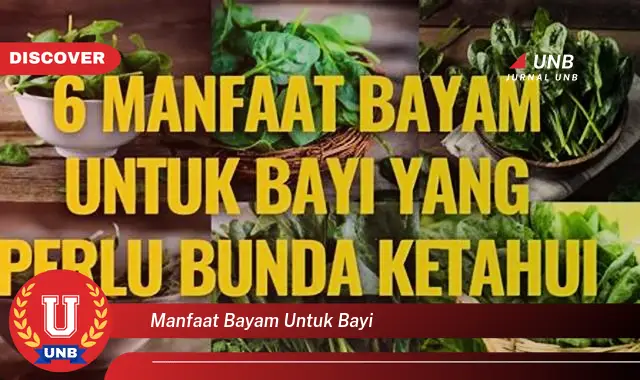 manfaat bayam untuk bayi