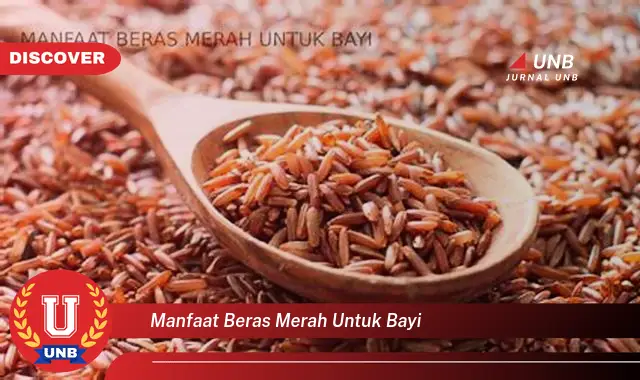 manfaat beras merah untuk bayi manfaat beras merah untuk bayi