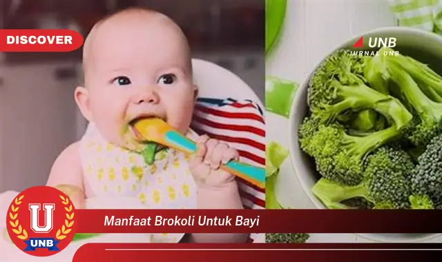 manfaat brokoli untuk bayi