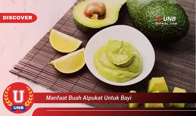 manfaat buah alpukat untuk bayi manfaat buah alpukat untuk bayi