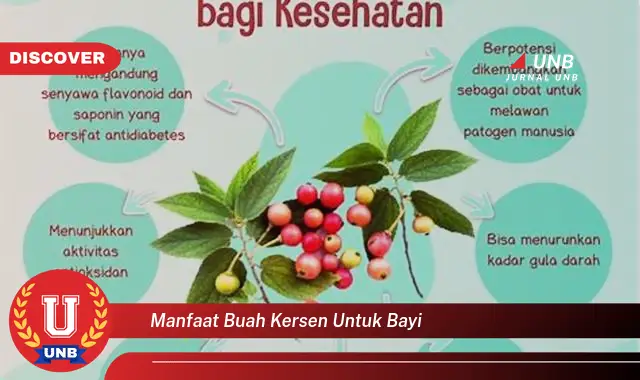 manfaat buah kersen untuk bayi