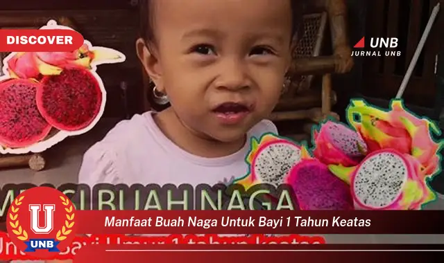 manfaat buah naga untuk bayi 1 tahun keatas