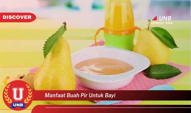 manfaat buah pir untuk bayi manfaat buah pir untuk bayi