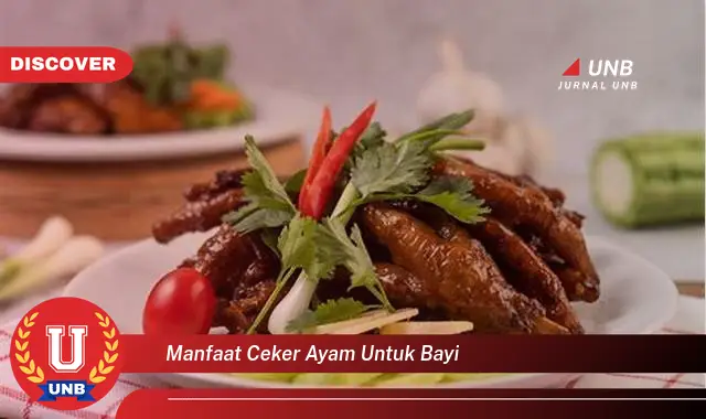 manfaat ceker ayam untuk bayi