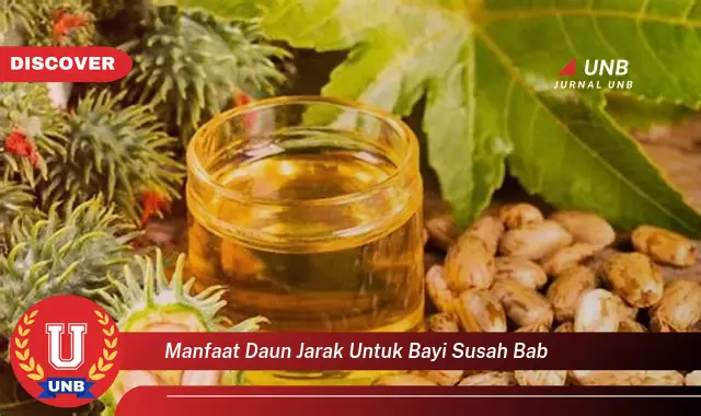 manfaat daun jarak untuk bayi susah bab