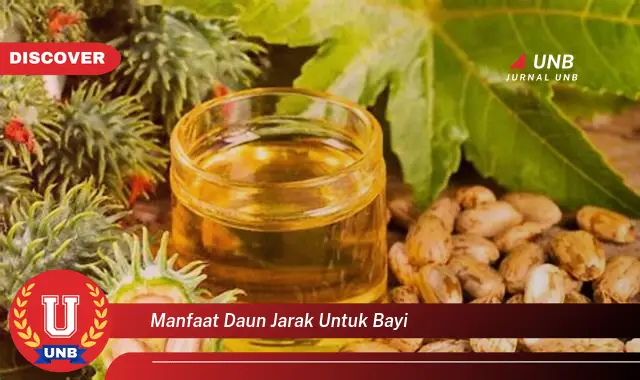 manfaat daun jarak untuk bayi