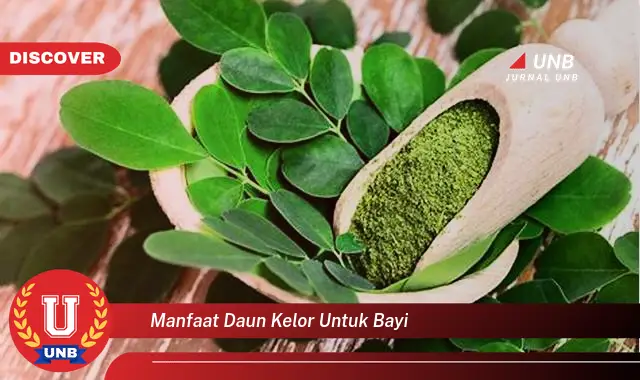 manfaat daun kelor untuk bayi manfaat daun kelor untuk bayi