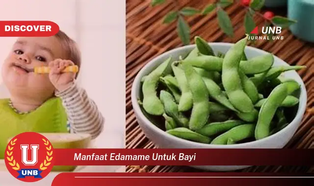 manfaat edamame untuk bayi