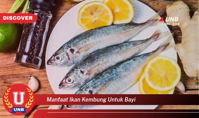 manfaat ikan kembung untuk bayi