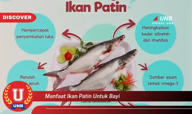 manfaat ikan patin untuk bayi