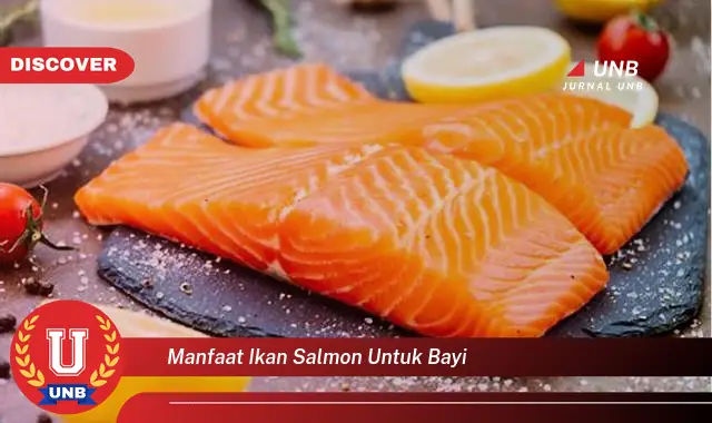 manfaat ikan salmon untuk bayi