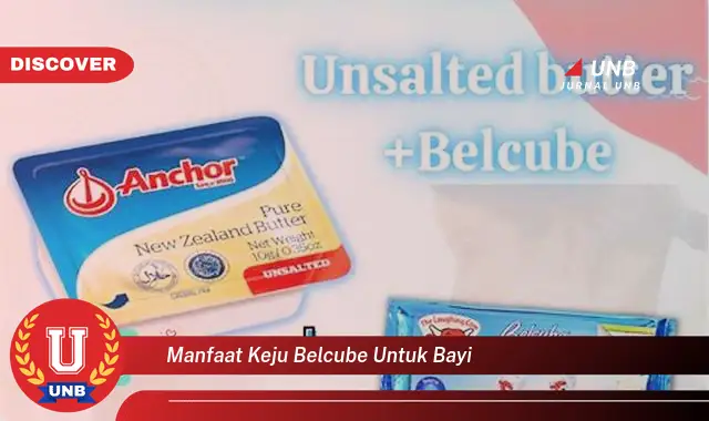 manfaat keju belcube untuk bayi manfaat keju belcube untuk bayi