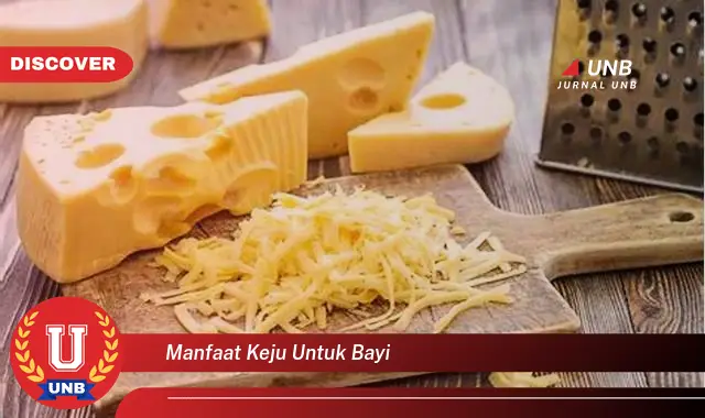 manfaat keju untuk bayi