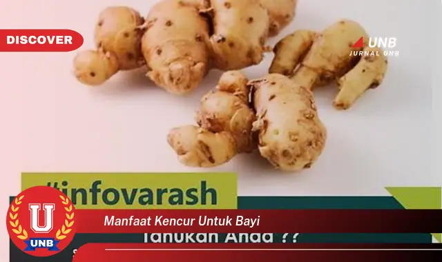 manfaat kencur untuk bayi