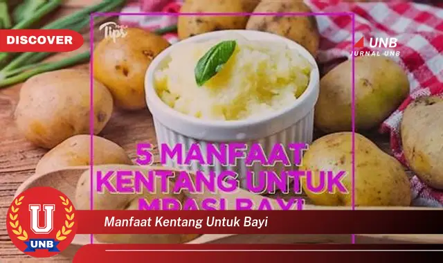 manfaat kentang untuk bayi