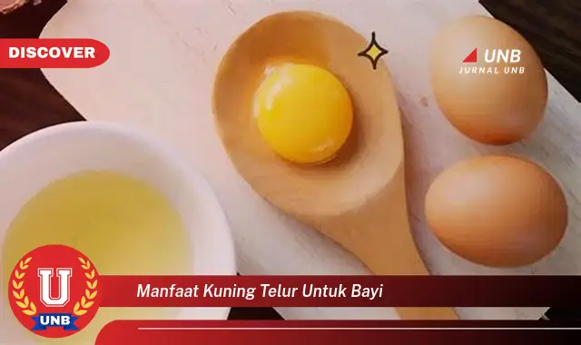 manfaat kuning telur untuk bayi