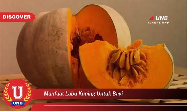 manfaat labu kuning untuk bayi manfaat labu kuning untuk bayi