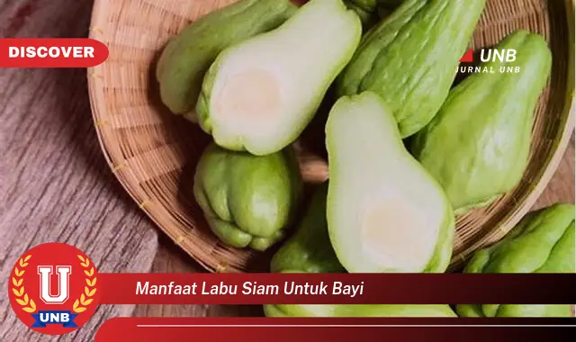 manfaat labu siam untuk bayi